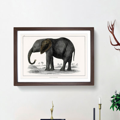 Elephant by Oliver Goldsmith - Picture Frame Painting Print