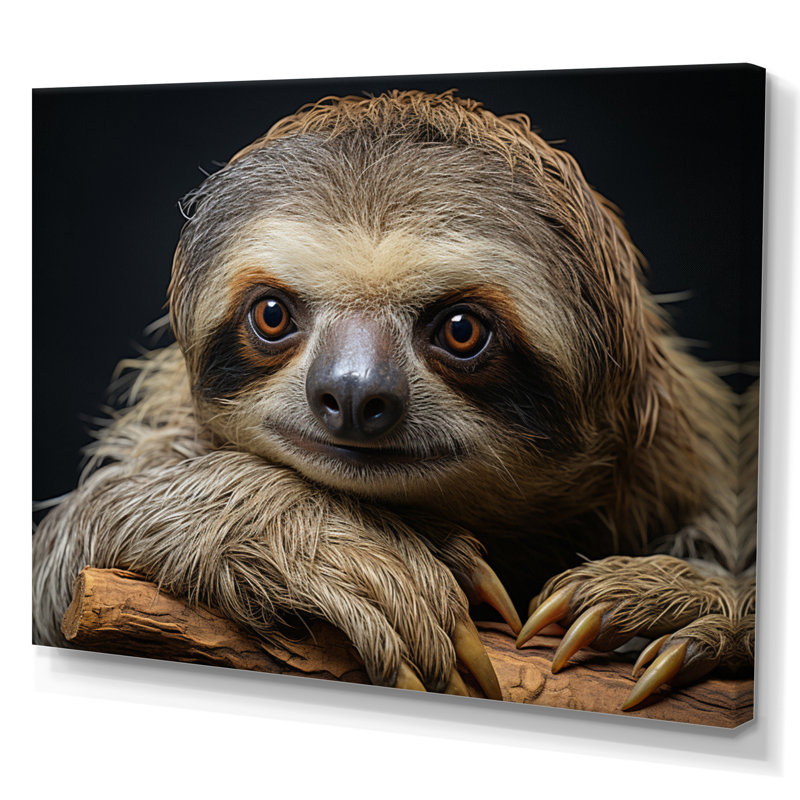 «Cute Sloth Portrait», reproduction d'art sur toile, 24" H x 32" W, Toile tendue