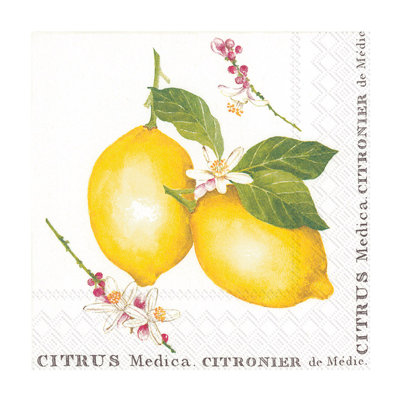 Serviettes jetables en papier Lemons Cocktail Basic