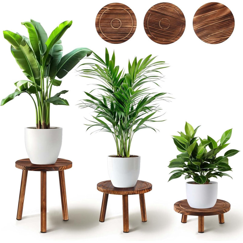 Support pour plante 3 pièces, tablette pour plante, banc de rempotage