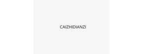 Logo CAIZHIDIANZI