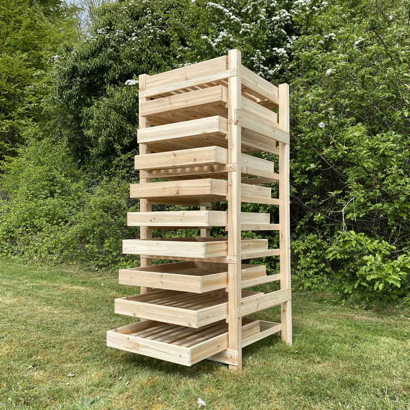 Whisman 60cm W Solid Wood Shelving Unit