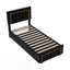 Dekker Luxury Velvet Ottoman Storage Bed with Gold Trim-456115804-456115805