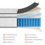 Matelas hybride en mousse à mémoire de forme moyenne 8 po / 10 po / 12 po, dans une boîte, certifié OEKO-TEX®-115200957-115200955