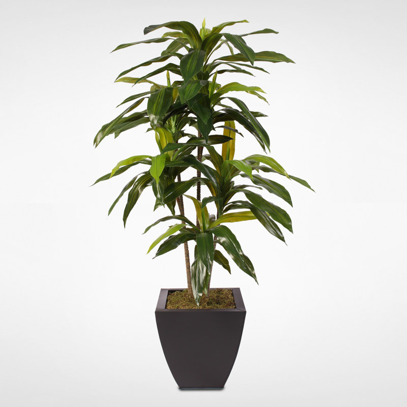 48'' Faux Dracaena Tree in Metal Pot