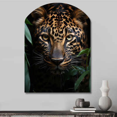 Spurgeon - Asymmetric Leopard
