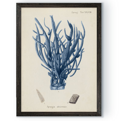 « corail antique en bleu marine v » par paul cezanne-cadre photo, reproduction d’art