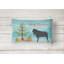 Outdoor Throw Pillow