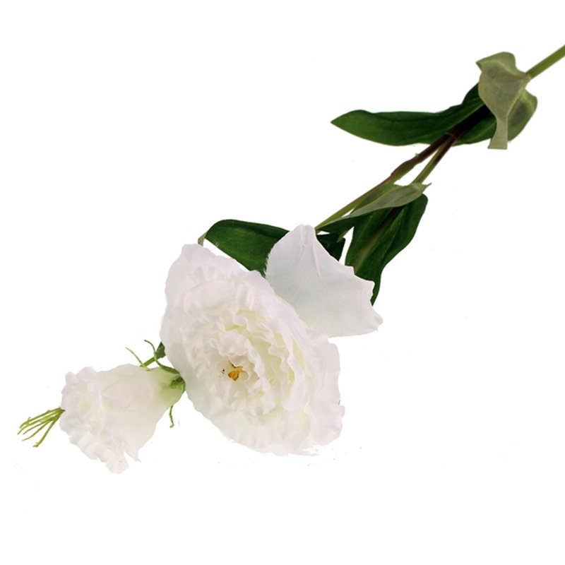Eustoma Arrangement, White