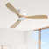 132CM Solid Wood 3-Blade Propeller Ceiling Fan with Remote Control