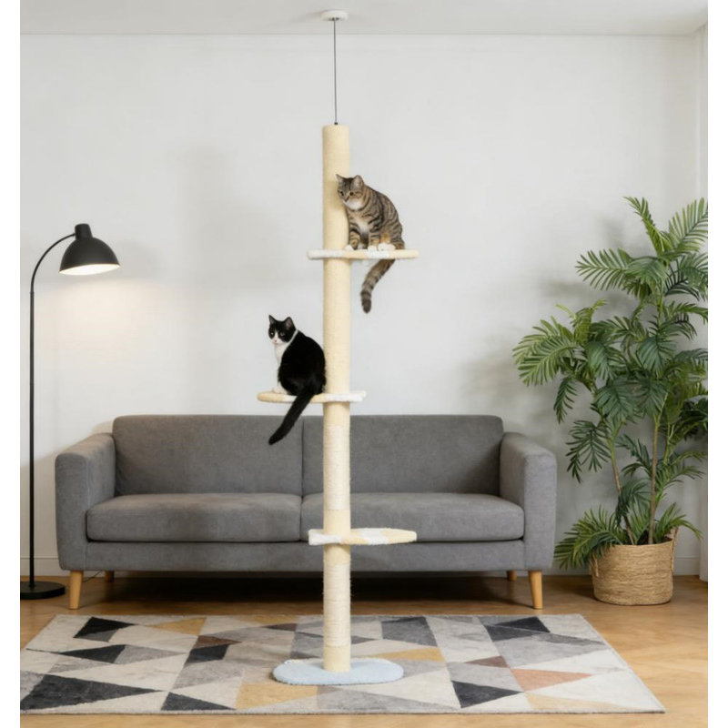 Arbre à chat, arbre à chat à 4 niveaux