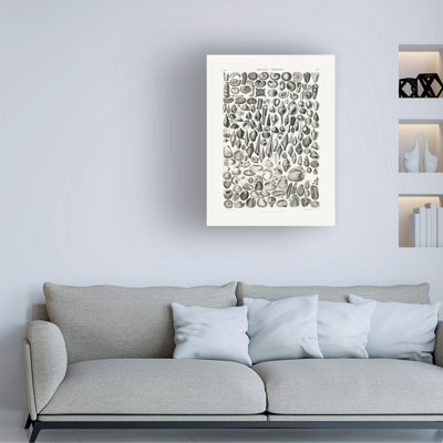 Bolog Pictufy Sealife II Canvas Art