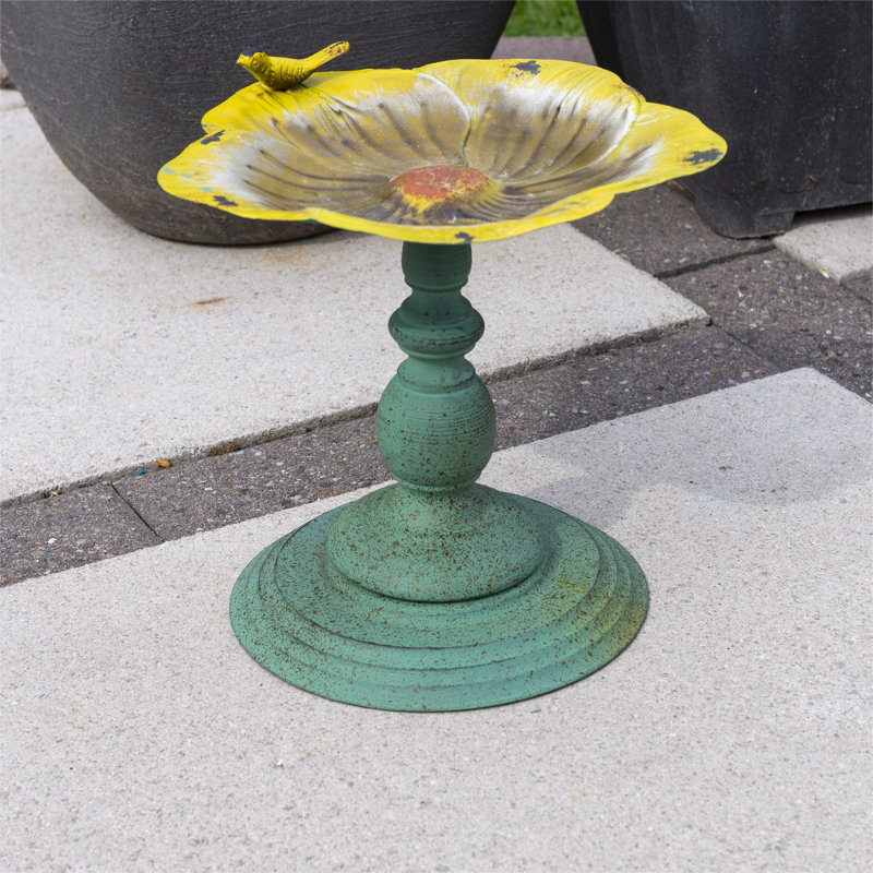 Gini Freestanding  Bird Bath