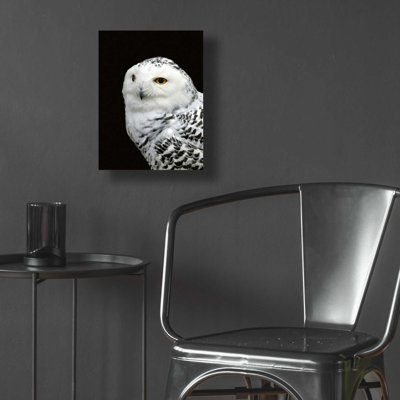Epic Art 'Snowy Owl' By Epic Portfolio, Acrylic Gl " Thinking Of Bored Apes " by Epic Art Portfolio