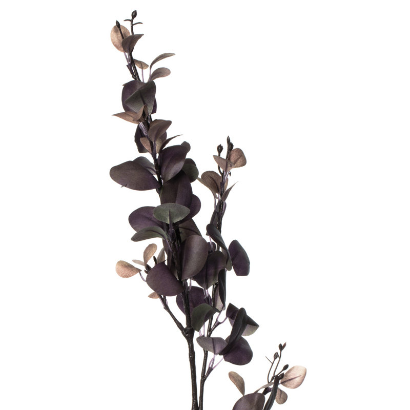 Eucalyptus Spray, Purple