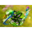 Alane Metal Birdbath