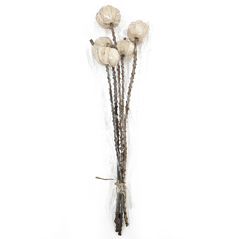 23.5" Pumpkin Pod Twig Stem for Holiday Decor