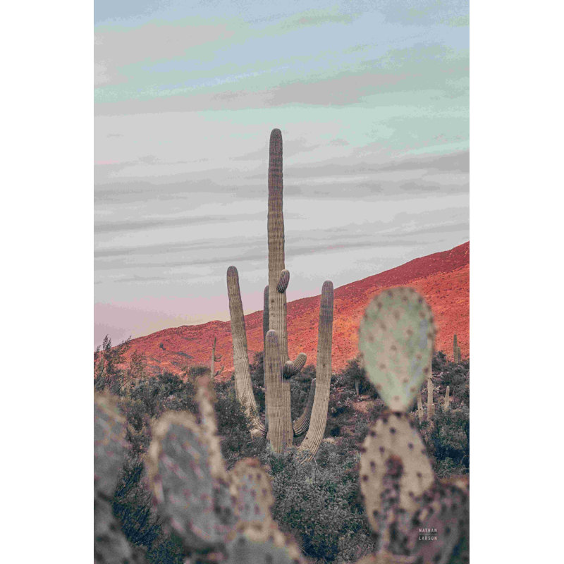 Sunsets And Saguaros II - par Nathan Larson, photographie sur toile tendue, H 18 po x l 12 po