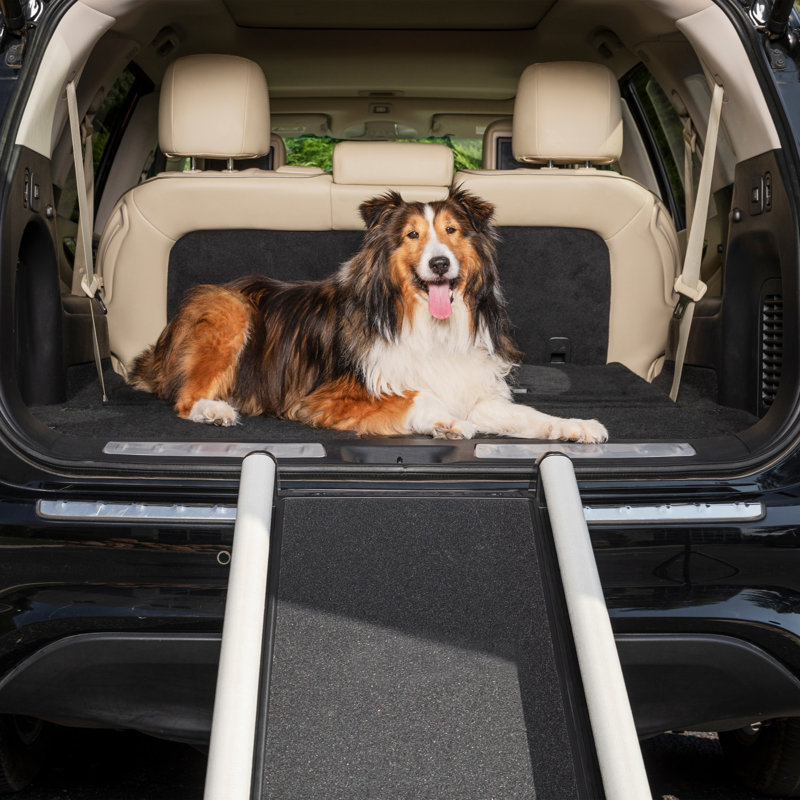 Rampe pour animaux 70 "Philbrick Happy Ride