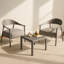 Summer - Ensemble de chaises d'appoint modernes 2 pièces avec table basse - Ensemble de canapé à structure en acier et en PP, sièges rembourrés pour le salon, le salon et le balcon (2 chaises + 1 table)-986031741