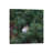 Little Bird In A Big World by Mateusz Piesiak - Floater Frame Print on Canvas-1767237836-1767237682
