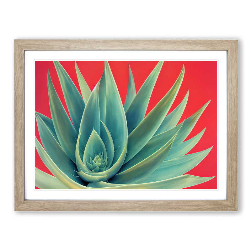 Spellbinding Aloe Vera Plant - Framed Print, 46cm H x 64cm W, Oak Frame