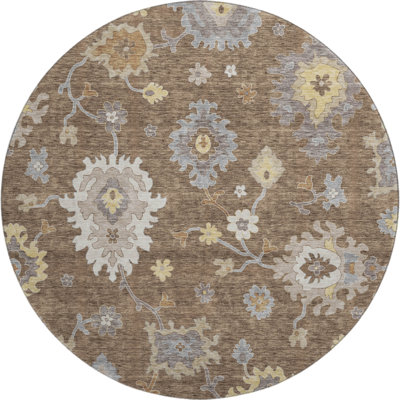 Premium Machine Washable Prisco Chocolate Rug
