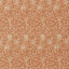 Apricot/Linen
