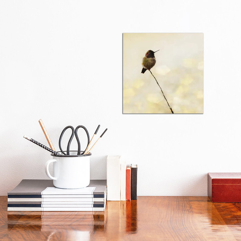 Hummingbird by MScottPhotography - Wrapped Canvas Print, 30.48cm H x 30.48cm W x 1.9cm D