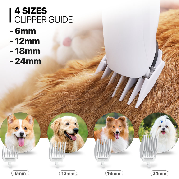 Dog Grooming Supplies for Professionals