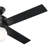 52" Hepburn 4 - Blade Indoor Modern Glam Ceiling Fan with Lights and Wall Control-23681194