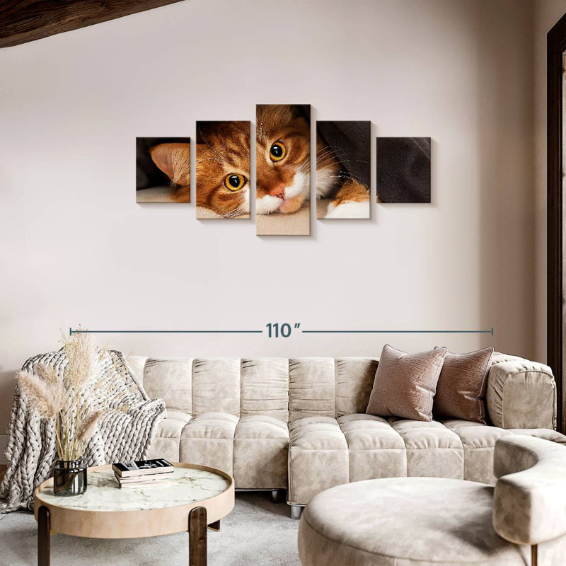 Chat douillet, H 34 po x l 74 po