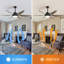 Ventilateur de plafond 54 pouces intérieur avec pales à DEL à intensité variable et moteur à courant continu réversible à télécommande pour salon noir