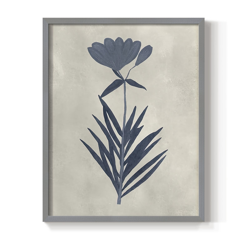 «Marine Pressed Flowers I», reproduction encadrée - bois massif, H 11 po x l 9 po, Gris