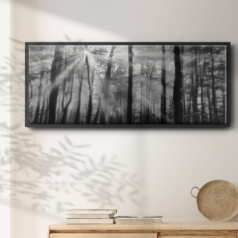 " Breaking Through ", 12" H x 30" W x 1.5" D, Black