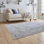Auderghem area rug Machine Woven Runner Blue