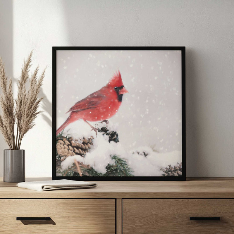 «Winter Cardinal II» par Lori Deiter, reproduction d'art, L 20 po x H 20 po, Noir, Impression encadrée