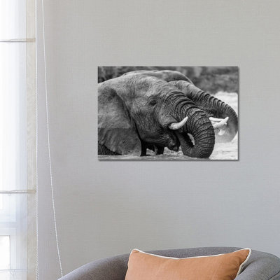 Bathing Elephants 1 Piece Wrapped Canvas Wall Art