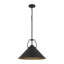 Luminaire suspendu 18 po noir-129402190