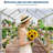 6x8 FT Polycarbonate Walk-In Greenhouse – with Heavy-Duty Aluminum Frame, Sliding Door, Adjustable Roof Vent & Rain Gutter – Perfect for Outdoor Backyard, Garden, Patio, Apartment Balcony-123377608