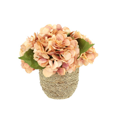 Arrangement floral d'hortensias d'automne Carytown