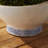 Terra Ceramic Decorative Bowl 1