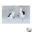 Print on Canvas-2081789121-2081789135