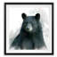 Ours Rainsoft - reproduction de cadre photo sur papier-836128985