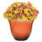 Ayaah Pot Planter-1796288146-1796288132