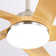 52'' 5-Blade Sand Nickle Modern Ceiling Fan With Led Light and Remote Control