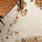 Arcisz Faux Cowhide Performance Rug-815619286
