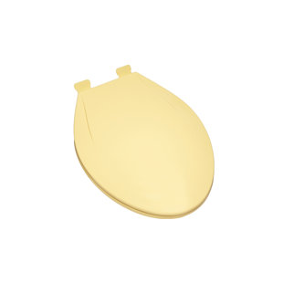 Elongated Toilet Seat and Lid