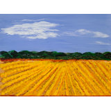 Yellow Fields Print by Joyce Creiger
