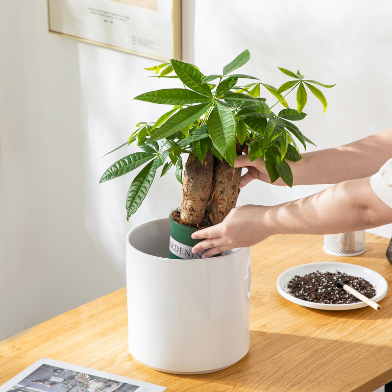 ZTHPOT Ceramic Pot Planter, 21cm H x 21cm W x 21cm D